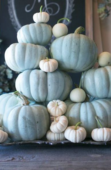 Pale Blue Pumpkins Grayed Jade, Blue Fall Decor, Pumpkin Stack, Outside Fall Decor, Coastal Fall, Blue Pumpkins, Baby Shower Pumpkin, Fabulous Fall, Baby In Pumpkin