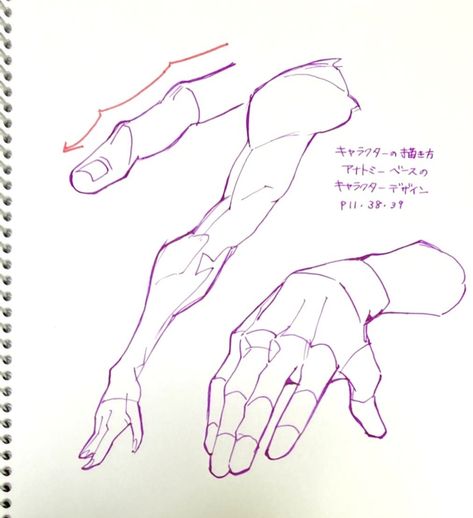 Arm Anatomy Drawing, Anatomy Drawing Tutorial, Arm Anatomy, Anatomy Tutorial, Body Drawing Tutorial, Human Anatomy Drawing, Hand Drawing Reference, Human Anatomy Art, Anatomy Sketches