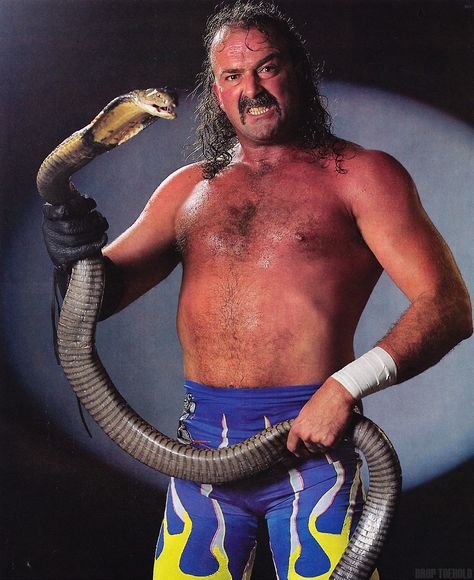 Jake The Snake Roberts Wcw Wrestlers, Jake The Snake, Jake The Snake Roberts, Wwf Superstars, Andre The Giant, Wwe Legends, Vince Mcmahon, Wrestling Superstars, Pro Wrestler