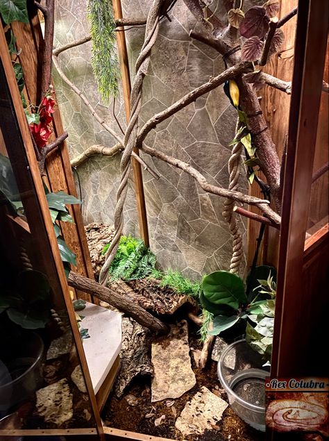 Bioactive Hognose Enclosure, Themed Snake Enclosure, Tropical Snake Enclosure, Aesthetic Snake Terrarium, Bio Active Terrarium Ball Python, Snake Tank, Reptiles, Ladder Decor, Home Decor