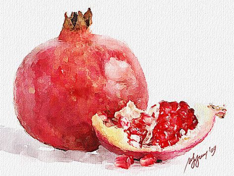 Pomegranate 002 | Digital watercolor. Original photo www.you… | Flickr Pomegranate Art, Pomegranate Fruit, Watercolor Fruit, Fruit Painting, 수채화 그림, Fruit Art, Watercolor Inspiration, Digital Watercolor, Food Illustrations