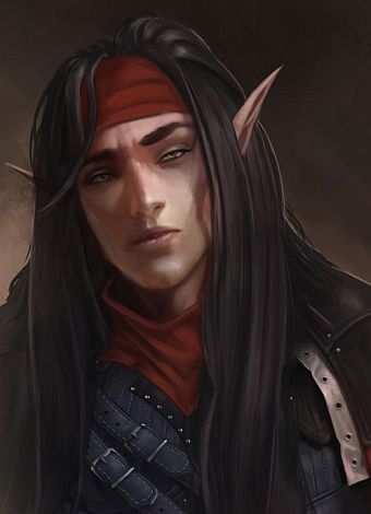 Elf Rogue, Male Elf, Elf Warrior, Elf Characters, Elves Fantasy, Elf Art, Heroic Fantasy, High Elf, Fantasy Portraits