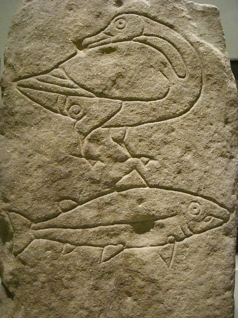 Bird and fish carvings on a Pictish stone - photo by Jessica Spengler (WordRidden), via Flickr;  at the National Museum of Scotland in Edinburgh Celtic Jewellery, Fish Photo, Wall Carvings, Standing Stones, Medieval Ages, Cave Art, Early Medieval, Prehistoric Art, Standing Stone