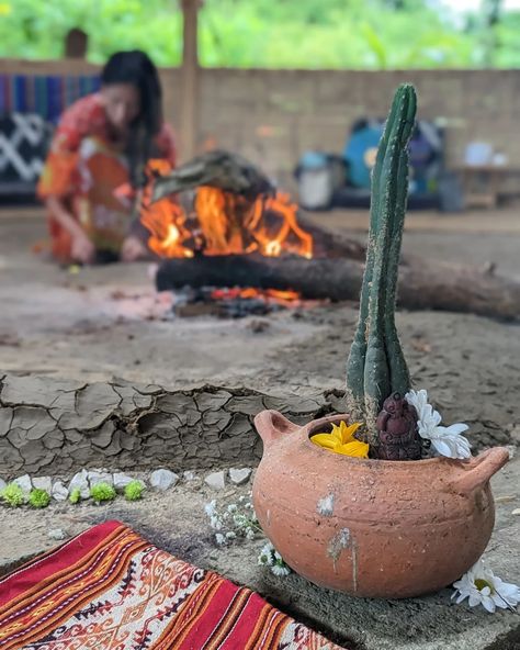 Plant Medicine Ceremony, Medicine Ceremony, Sweat Lodge, Heart Opening, Vision 2025, Plant Medicine, Power Animal, Connection To Nature, Space Pictures