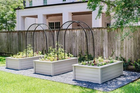 Grow A Row — Garden Girls Small Raised Bed Garden, Soft Landscaping, Vego Garden, Vege Garden, Raised Bed Garden Design, Raised Bed Garden, Small Garden Landscape, Vegetable Garden Planning, Garden Inspo