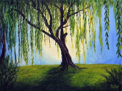 Willow Tree Painting, Willow Tree Art, Tree Drawing Simple, Willow Tree Tattoos, Weavers Art, Weeping Willow Tree, Abstract Tree Painting, Arte Grunge, Stone Circle