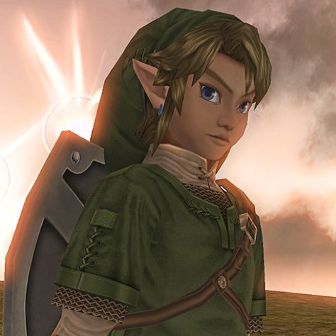 Loz Twilight Princess, Zelda Screenshots, Twilight Princess Link, Link Twilight Princess, Twilight Link, Legend Of Zelda Characters, Link Cosplay, Zelda Game, Legend Of Zelda Twilight Princess