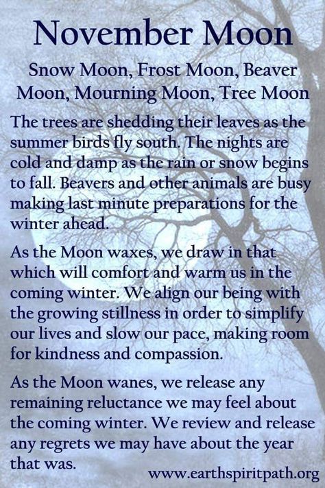 Moon Practice, November Magick, November Moon, November Full Moon, Frost Moon, Full Moon Names, Full Moon Spells, Moon Chart, Moon Meaning