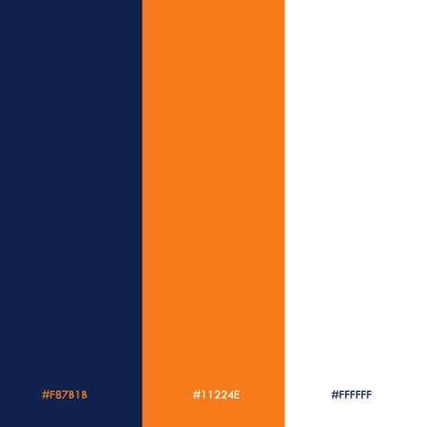 Blue Orange White Color Palette, Blue Orange Colour Palette, Orange And Blue Colour Palette, Orange And Blue Logo, Blue And Orange Palette, Orange Colour Combination, Blue And Orange Color Scheme, 3 Color Palette, Orange Color Combinations