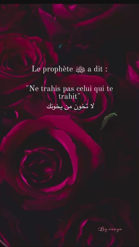 Muslim Couple Quotes, Muslim Lifestyle, Allah Islam, Muslim Quotes, Quran Verses, Quran