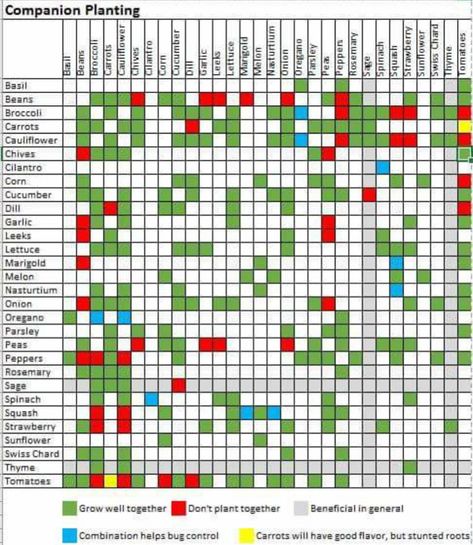 what to plant with what Companion Planting Guide, Companion Planting Chart, Gardening For Dummies, Gardening Videos, Companion Gardening, Garden Companion Planting, Square Foot Gardening, Tomato Garden, Have Inspiration