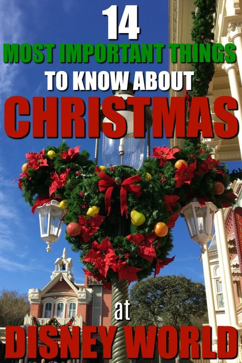 Christmas At Disney World, Park Parties, Disneyworld Tips, Disney Christmas Vacation, Christmas At Disney, Disney Stores, Nemo Disney, Scrapbook Disney, Disney World Christmas