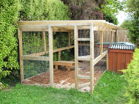 8 DIY Dog Run Ideas and Free Plans - Its Overflowing Dog Run Ideas Backyard, Dog Run Ideas, Diy Dog Wheelchair, Outdoor Dog Area, Diy Dog Run, Outdoor Dog Runs, Backyard Dog Area, Dog Enclosures, Catio Ideas