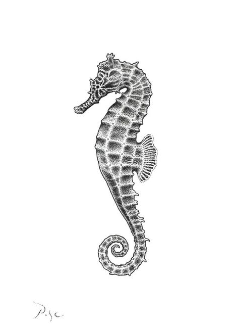 Tattoo Seahorse, Drawing Seahorse, Seahorse Drawing, Seahorse Tattoo, Animal Drawing, Drawing Paper, School Tattoo, Old School Tattoo, Love Tattoos