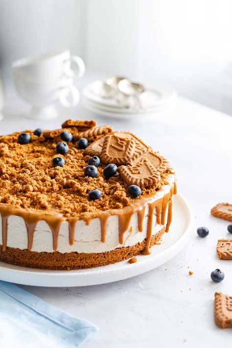 This easy no bake dessert is perfect for Biscoff lovers! No Bake Biscoff Cheescake comes together quickly and is the perfect treat Cheesecake Easy No Bake, Cheesecake Decorating, Aesthetic Cheesecake, No Bake Biscoff Cheesecake, No Bake Biscoff, Cake Decorated With Fruit, Cheesecake Decoration, Lazy Cake, Biscoff Cake