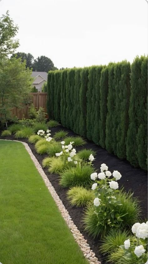 Living Fence Landscaping, Long Narrow Landscape Design, Long Fence Landscaping, Plants Against Fence, Front Of House Landscape Ideas Low Maintenance, Landscape Along Fence Line, Simple Florida Landscaping, Rectangle Backyard Landscaping, Narrow Backyard Landscaping