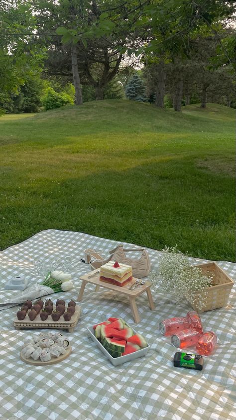 Picnic Background, Princess Picnic, Picnic Inspiration, Picnic Ideas, Picnic Date, Aesthetic Things, A Picnic, Outdoor Picnics, Bday Ideas