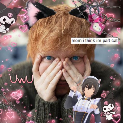 Ed Sheeran Funny, Cat Boy Aesthetic, Bread Sheeran, Egg Sheeran, Ed Sheeran Memes, Ed Sheeran Love, Picsart Edits, Buddy Holly, Facebook Humor