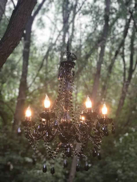 Chandelier lighting for events Cade Core, Treehouse Makeover, Kyra Core, Lexi Aesthetic, Samantha Core, Chandelier Gothic, Sierra Core, Gothic Chandelier, Gothic Type