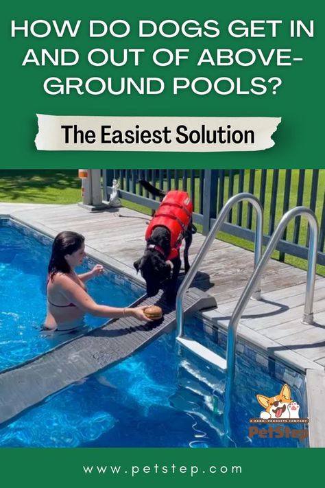 How do dogs get in and out of above-ground pools? The easiest solution. Pool Ramp, Dog Pool Ramp, Swimming Pool Safety, Dog Pool, Dog Swimming, Stock Tank Pool, Dog Ramp, Pool Safety, Stock Tank