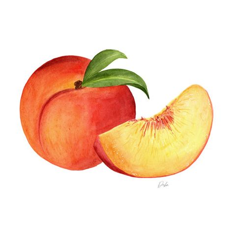 Peaches Illustration Craft Beer Design, Illustration Fruit, Vegetable Drawing, Peach Illustration, Food Art Painting, Farm Animals Birthday Party, Learn Watercolor Painting, Fruits Drawing, Peach Art