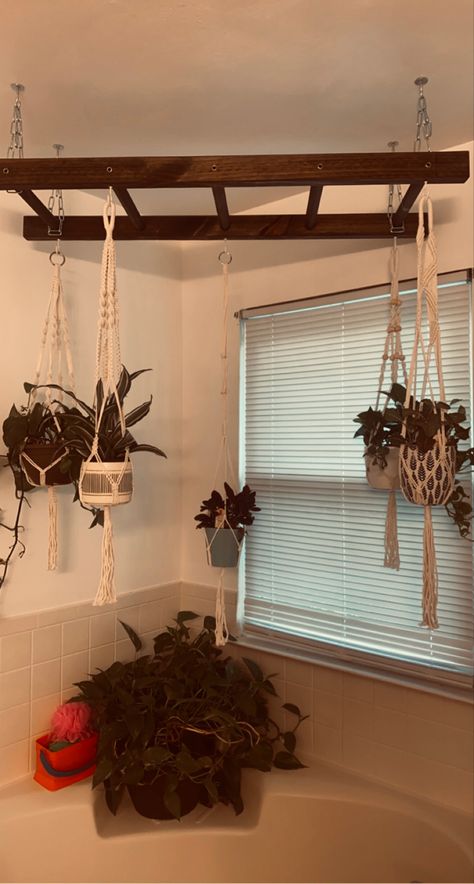 Window Plant Hanger, Sunset Room, Hanging Ladder, Old Ladder, Window Plants, Crafts Room, Plant Ideas, Bathroom Design Decor, Diy Furniture Renovation