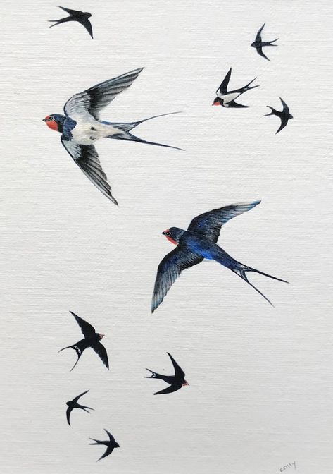 Barn Swallow Blank Greetings Card Bird Fine Art | Etsy UK Swallow Illustration Vintage Birds, Flying Bird Art Painting, Bird Painting Flying, Swallow Bird Illustration, Swallow Bird Photography, Barn Swallow Drawing, 2 Birds Drawing, Birds Flying Painting, Bird Flying Drawing