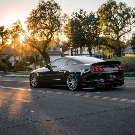 2013 Mustang Gt, Gt500 Mustang, 2013 Mustang, 2014 Mustang, Mustang Wallpaper, Car Life, Sports Car Wallpaper, Mustang Cobra, Lowrider Cars