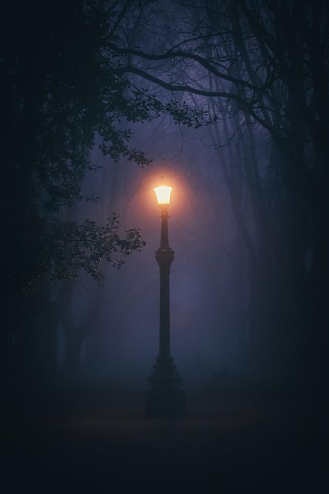 Foggy Night, Bristol England, Modern Magic, Magic Lantern, Night Forest, Misty Forest, World Pictures, Homescreen Wallpaper, Beautiful Mountains