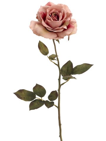 Queen Open Rose in Antique Pink | silk roses wedding flowers wedding roses only $3.79 Roses Only, Wedding Flowers Roses, Open Rose, Plants Nature, Silk Plants, Antique Pink, Artificial Roses, Flowers Plants, Silk Roses