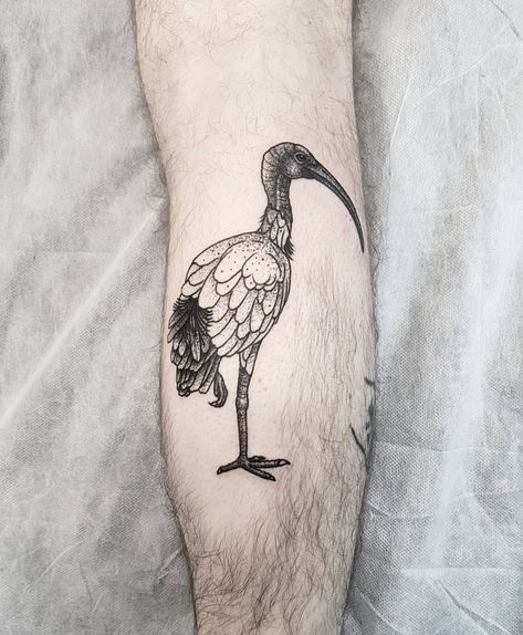 A misunderstood Ibis Bin Chicken Tattoo, Ibis Tattoo, Bin Chicken, Chicken Tattoo, Tattoo Neck, Body Decoration, Neck Tattoo, Body Art Tattoos, Beauty Skin