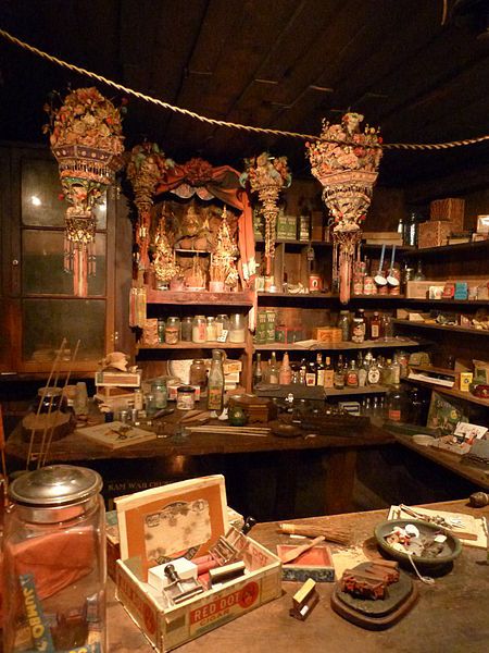 Chinese Apothecary, Chinese General, The Wild West, Art And Culture, Ghost Towns, 1 John, General Store, In The Wild, Chinese Art