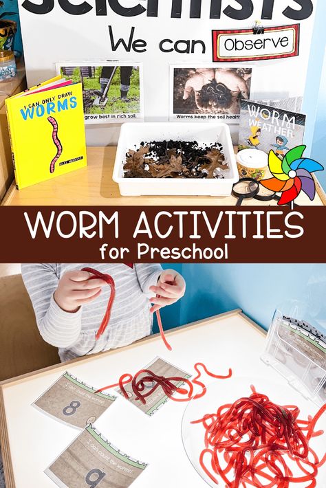 Worm Activity Preschool, I Am A Scientist Preschool, Worms For Preschoolers, Worm Theme Preschool, Inch Worm Craft Preschool, Worm Study Preschool, Worms Activity Preschool, Worm Inquiry Kindergarten, Worm Unit Study