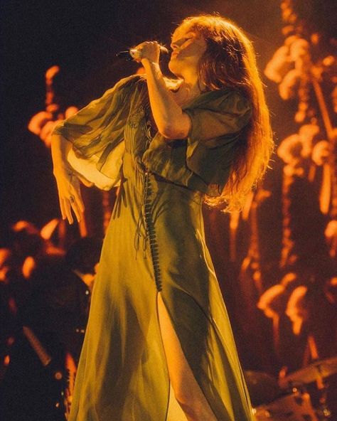 Florence Welsh, Electric Picnic, Florence Welch, Florence The Machines, The Machine, The High, Florence, Art Reference, Singing