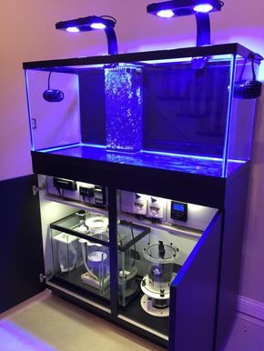 Aquarium Furniture, Room Aquarium, Aquarium Saltwater, Saltwater Aquarium Setup, Aquarium Sump, Sump Tank, Marine Fish Tanks, Fish Tank Stand, Coral Reef Aquarium