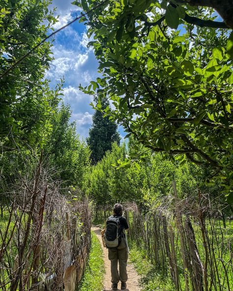 Finally on a trip to Parvati valley 🫶🕸️🐢 #paravativalley #kasol #kalgavillage #offbeat #mountain #pahad #himachal #insta #instapost #trek #trip #aesthetic #share #pinterestaesthetic #backpack #cafe #soulkitchen Parvati Valley, Trip Aesthetic, Insta Posts, Cafe, Quick Saves