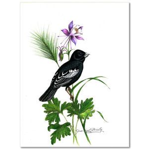 Colorado State Bird ------------------ lark bunting Lark Bunting Tattoo, Larks Pur Flower Tattoo, House Finch Tattoo, State Flower Tattoo, Bermuda Longtail Bird Tattoo, Ivory Billed Woodpecker Tattoo, Lark Bunting, Colorado State Flower, Thigh Piece