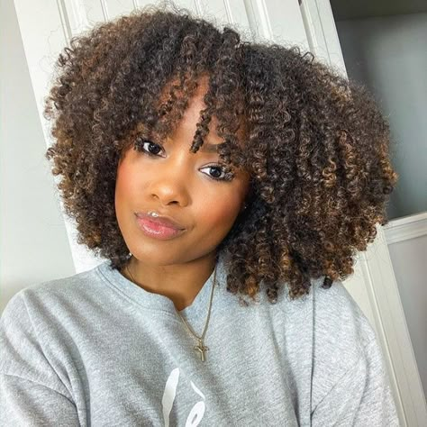 Curly 3c, Natural Hair Highlights, 4a Natural Hair, Cabello Afro Natural, Natural Hair Cuts, Dyed Natural Hair, Hair Bob, Penteado Cabelo Curto, Natural Hair Inspiration