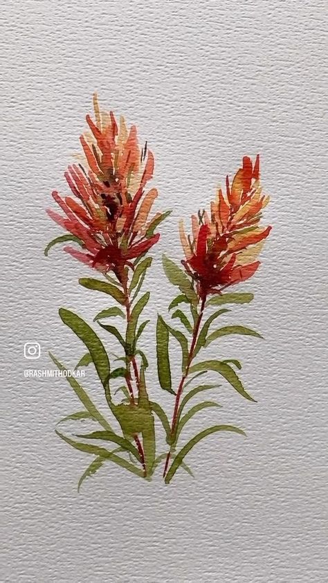 4.9K views · 108 reactions | Wild bottle brush flowers today ! I hope you find the little tips useful to paint these in a rather loose expressive style 🧡 Enjoy 🧡 #watercolortutorial #bottlebrush #easypainting #watercolorpainting | rashmithodkar | Joshua Kyan Aalampour · The Hidden Library Hidden Library, Australian Native Flowers, Watercolor Flower Art, Bottle Brush, Watercolour Tutorials, Easy Paintings, Watercolor Flowers, Art Sketches, Flower Painting