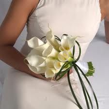 Calla Lily Wedding Flowers, Calla Lily Bridal Bouquet, Lily Bridal Bouquet, Calla Lily Bouquet Wedding, Calla Lily Bridal, Wedding Flower Guide, Calla Lily Wedding, Calla Lily Flowers, Calla Lily Bouquet