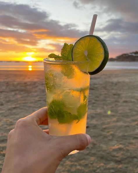 🌴 THE BEACH HOUSE 🌴 on Instagram: "Sunset mojito 👌🏼✨🌴 #mojito #cocktails #sunset #sjds #nicaragua #sanjuandelsur #playa #beach #tropical" Mojito Aesthetic, Mango Mojito, Cocktail Beach, Mojito Recipe, The Beach House, Beach Tropical, Cute Wild Animals, Beach Holiday, Wild Animals