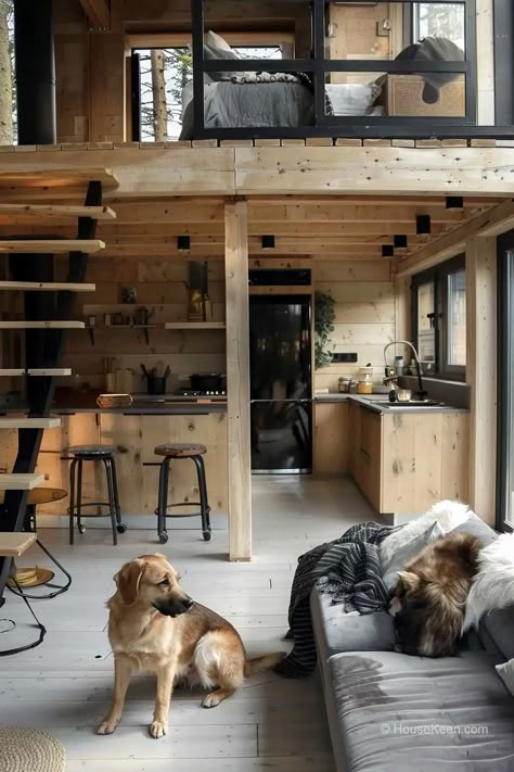 21 Tiny Houses With Staircases That Just Work (Pictures) Tiny House Industrial Style, Tiny House With Mezzanine, Staircase With Lights, Tiny House Loft Stairs, Tiny House Design Interior, Japanese Tiny House Design, Tiny House Concept, Tiny Cabin Loft Stairs, Modern Tiny House Design