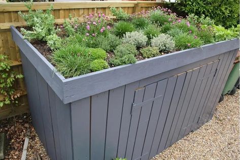 Love this idea: bike store with a green living roof Daisy Landscaping, Armeria Maritima, Living Green Roof, Green Roof Garden, Green Roof House, Bin Shed, Sedum Roof, Alpine Strawberries, Bin Storage