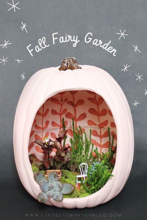 Fall Fairy Garden, Pumpkin Fairy House, Pumpkin Fairy, Halloween Fairy Garden, Autumn Things, Fall Fairy, Fairy Things, Cactus Terrarium, Halloween Pics