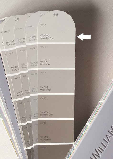 SWAgreeableGraySwatchformat1500w | Tag and Tibby Sw Greige Colors, Jotun Greige Color, Greige Wall Paint, Greige Accent Wall, Greige Wall Color, Gray And Brown Living Room Ideas, Benjamin Moore Greige, Greige Exterior, Alpaca Sherwin Williams