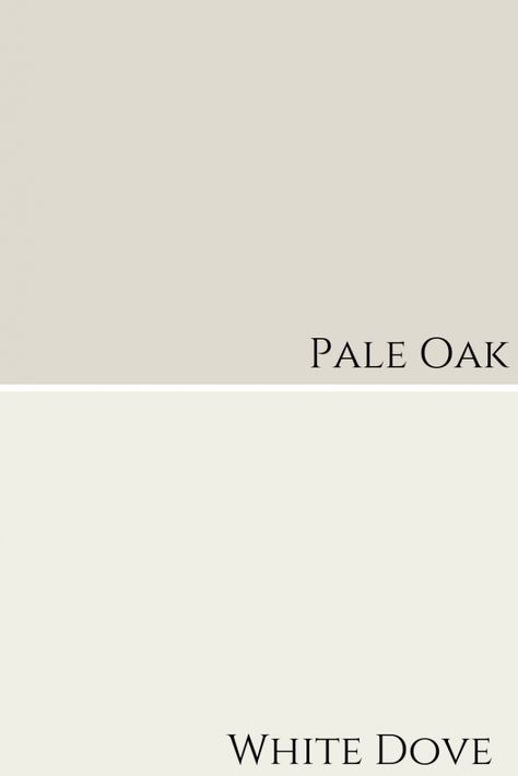 Pale Oak by Benjamin Moore Colour Review - Claire Jefford Pale Oak Paint Color, Pale Oak Paint, Pale Oak Benjamin Moore, Studio Makeover, Pale Oak, Paint Colors Benjamin Moore, Benjamin Moore Colors, Benjamin Moore Paint, White Dove