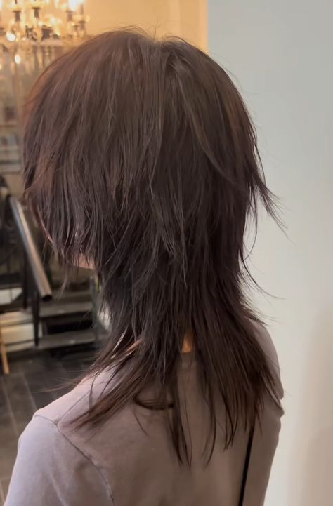 Haircuts For Layered Hair, Back Layers Short Hair, Short Top Long Bottom Hair, Haircuts Layers Short, Long In Front Short In Back Haircut, Choppy Wolf Cut Long, Jellyfish Haircut No Bangs, Messy Haircut Medium, Medium Length Emo Hair