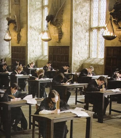 Hogwarts Professor Aesthetic, Hogwarts Friends Aesthetic, Hogwarts Academia, Severus Snape Dumbledore, Marauders Cast, 40s Aesthetic, Hogwarts Classes, Hogwarts Professors, School Testing