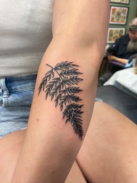 #ferns #ferntattoo #tattooideas #tattoodesign Fern Tattoo Placement, Traditional Fern Tattoo, Folk Tattoos, 2024 Tattoo, Fern Tattoo, Traditional Style Tattoo, Party Tattoos, Leg Sleeve, Hippie Flowers