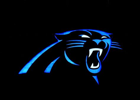 Panther Logo | Flickr - Photo Sharing! Carolina Panthers Logo, Panthers Logo, Panther Nation, Carolina Panthers Football, Panther Logo, Panthers Football, Nfl Carolina Panthers, Nfl Logo, Face Off